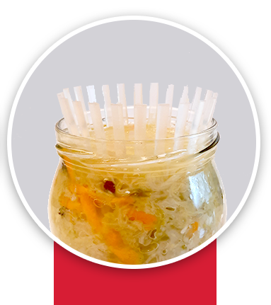 kapusta